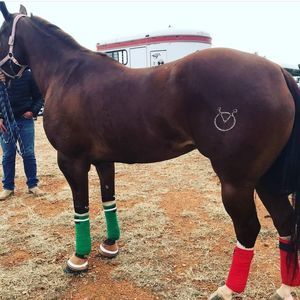 Meet your Posher, Jesse